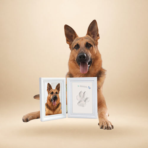 Kelvetic paw print keepsake frame with a dog on a beige background