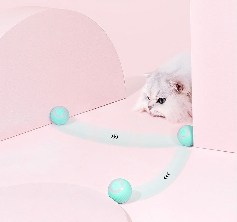Smart rolling cat ball – detail view