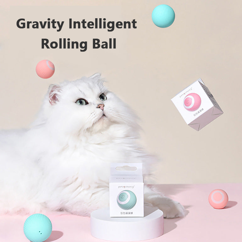Smart rolling cat ball – cat playing