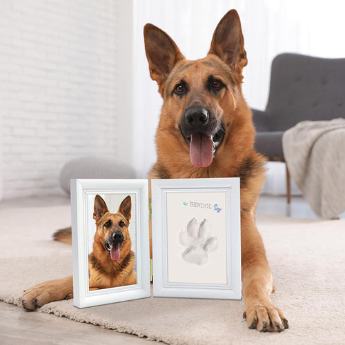 Paw print keepsake frame with ink pad for dogs and cats